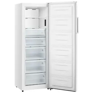 gorenje-zamrzivac-fn617eew5-66228-245525.webp