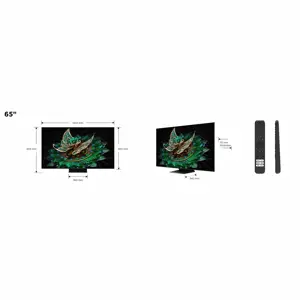 televizor-tcl-mini-led-tv-65-65q9b-google-tv-864-75855.webp